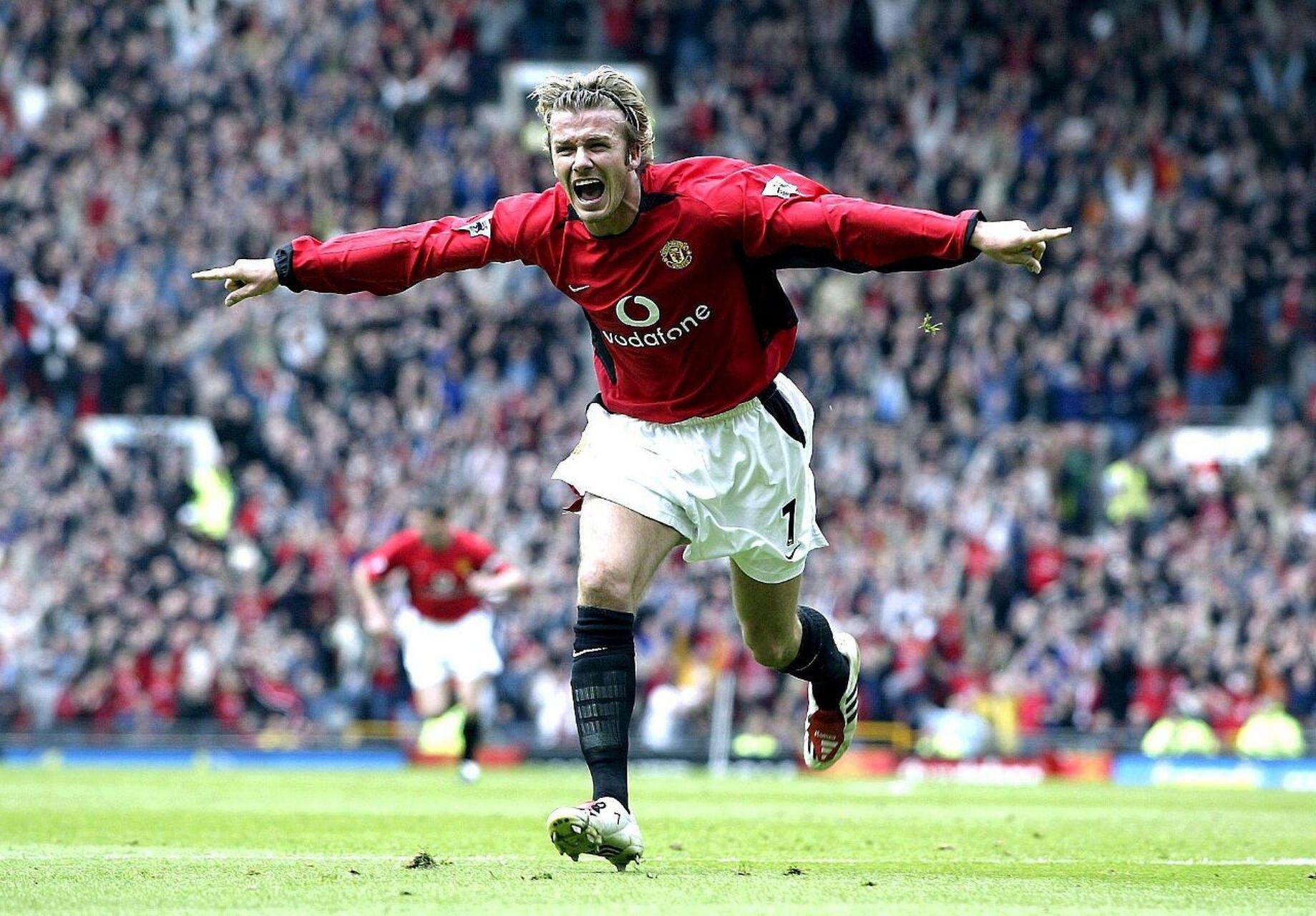 公布的注册 公布的注册